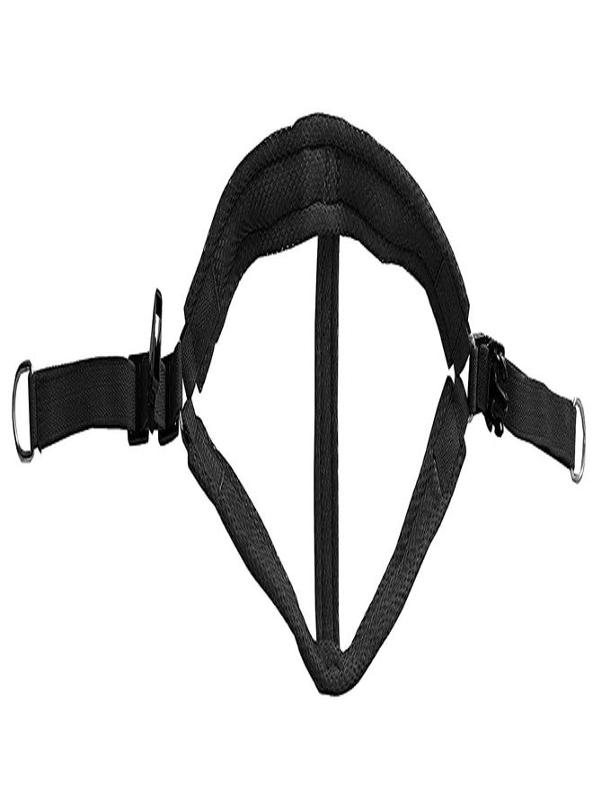 Pups&Pets Mesh Padded Nylon Dog Harness & Leash Rope All Types of Dogs - Medium (Chest Size - 25-34inch) (Black) - Image 4